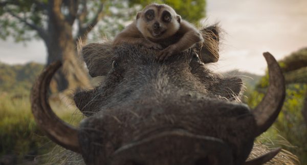 (Top to Bottom) Timon (voiced by Billy Eichner) and Pumbaa (voiced by Seth Rogen) in Disney’s MUFASA: THE LION KING. Photo courtesy of Disney. © 2024 Disney Enterprises Inc. All Rights Reserved.